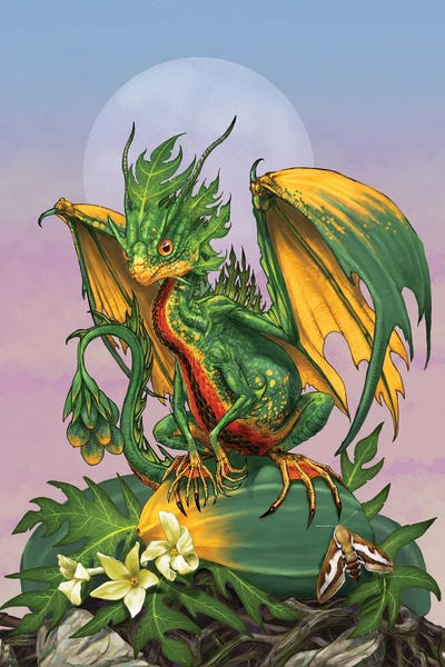 Dragons: Papaya Dragon by Stanley Morrison