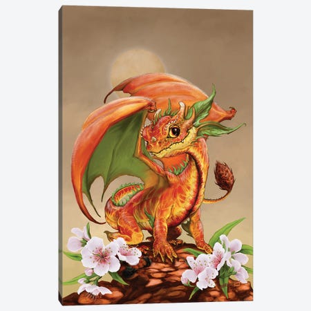 Peach Dragon Canvas Print #SYR90} by Stanley Morrison Canvas Print