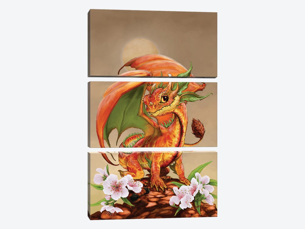 Peach Dragon by Stanley Morrison 3-piece Canvas Art