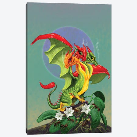 Peppers Dragon Canvas Print #SYR93} by Stanley Morrison Canvas Art Print