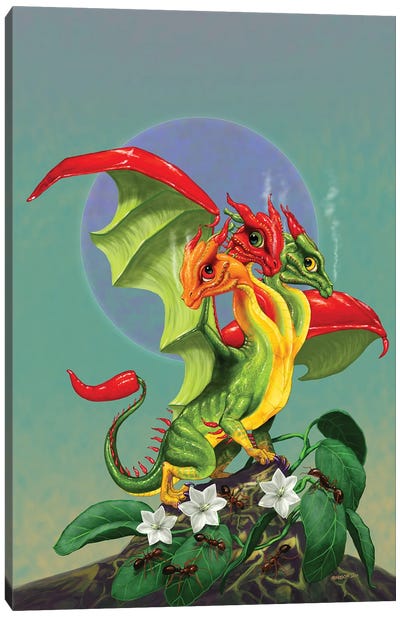 Peppers Dragon Canvas Art Print - Friendly Mythical Creatures