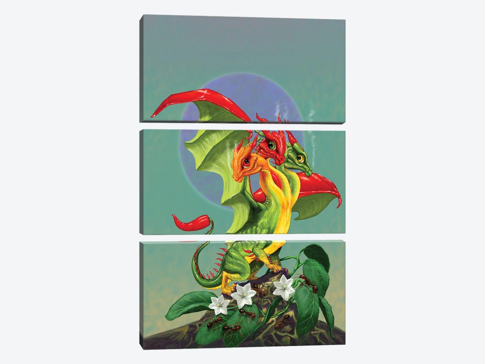 Peppers Dragon by Stanley Morrison 3-piece Art Print