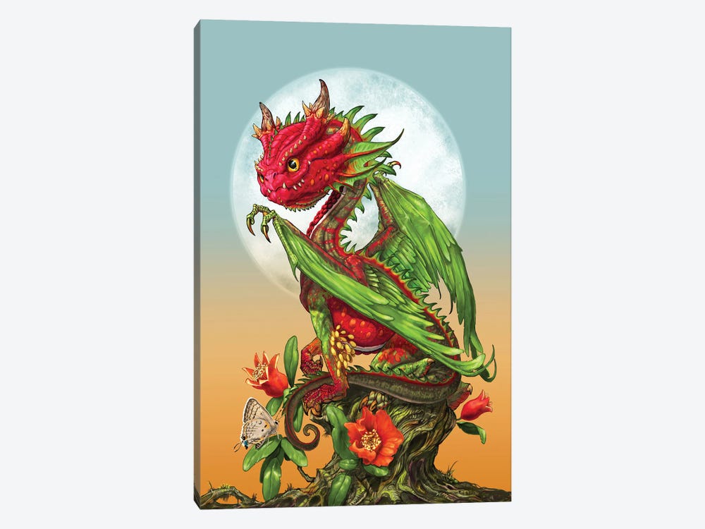 Pomegranate Dragon by Stanley Morrison 1-piece Canvas Print