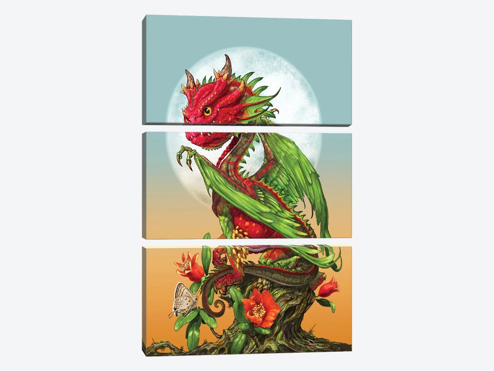 Pomegranate Dragon by Stanley Morrison 3-piece Canvas Print