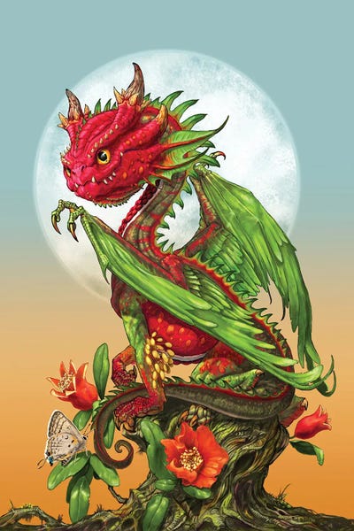 Dragons: Pomegranate Dragon by Stanley Morrison