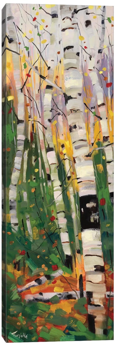 Tango Canvas Art Print - Aspen and Birch Trees