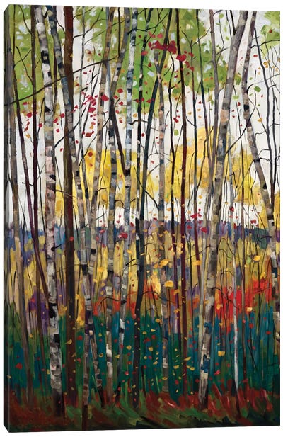 Voile De Montogne Canvas Art Print - Aspen and Birch Trees