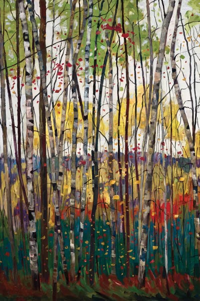 Enchanted Forests: Voile De Montogne by Graham Forsythe