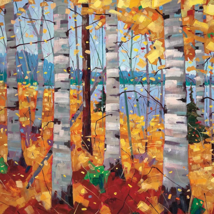 Border View II by Graham Forsythe wall art