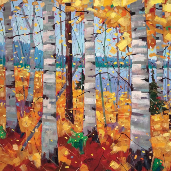 Enchanted Forests: Border View II by Graham Forsythe