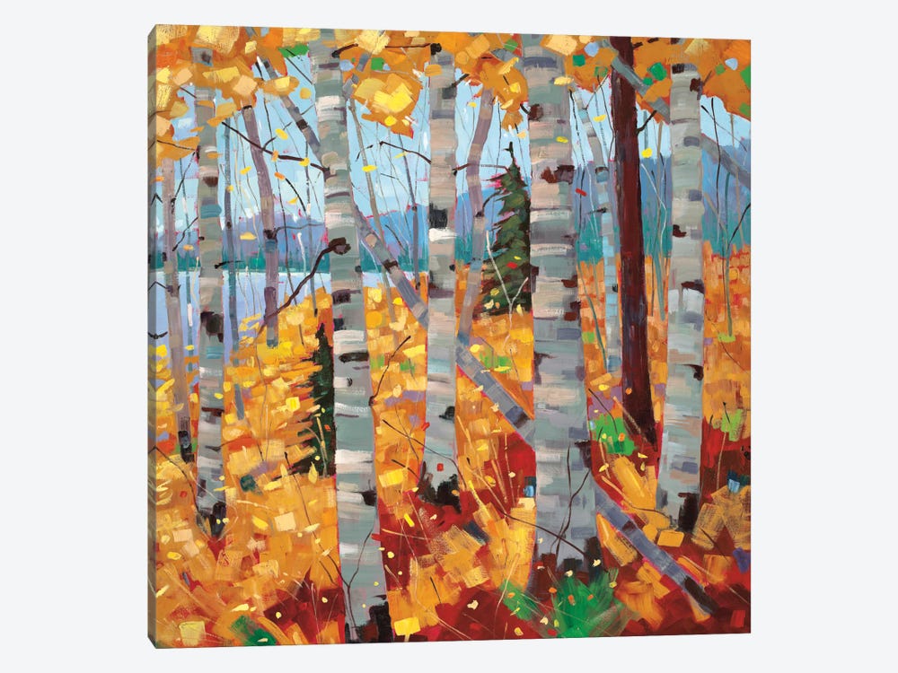 Border View III by Graham Forsythe 1-piece Canvas Print