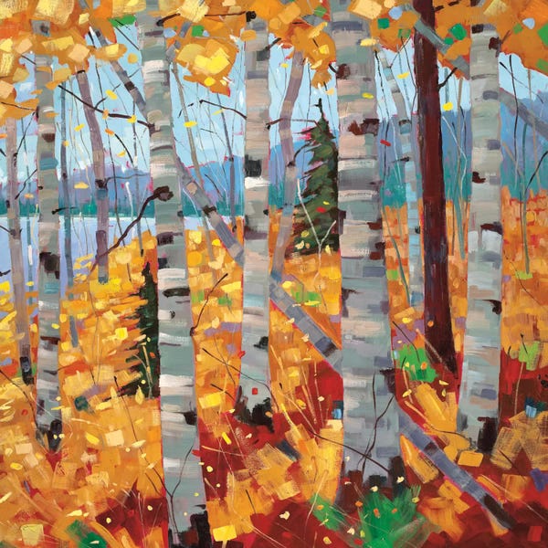 Enchanted Forests: Border View III by Graham Forsythe