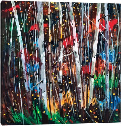 Autumn Fireworks Canvas Art Print - Graham Forsythe