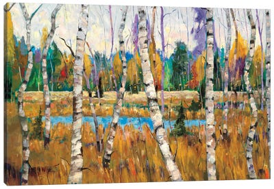 October Parade Canvas Art Print - Aspen and Birch Trees