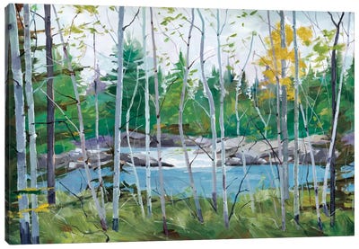 Oxtounge Rapids Canvas Art Print - Graham Forsythe