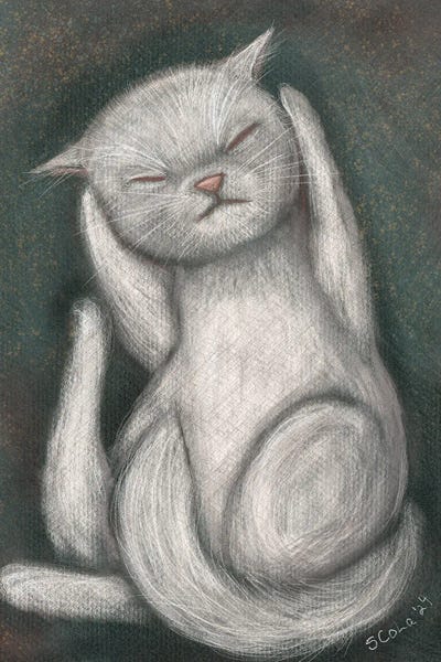 Sleeping & Napping: Sleeper by Sylvia Colasacco