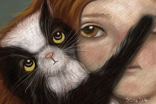 Tuxedo Cats: Wake Up by Sylvia Colasacco