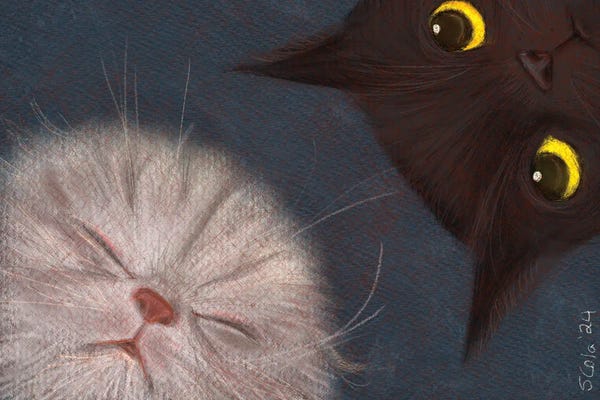 Pet Obsessed: Besties by Sylvia Colasacco