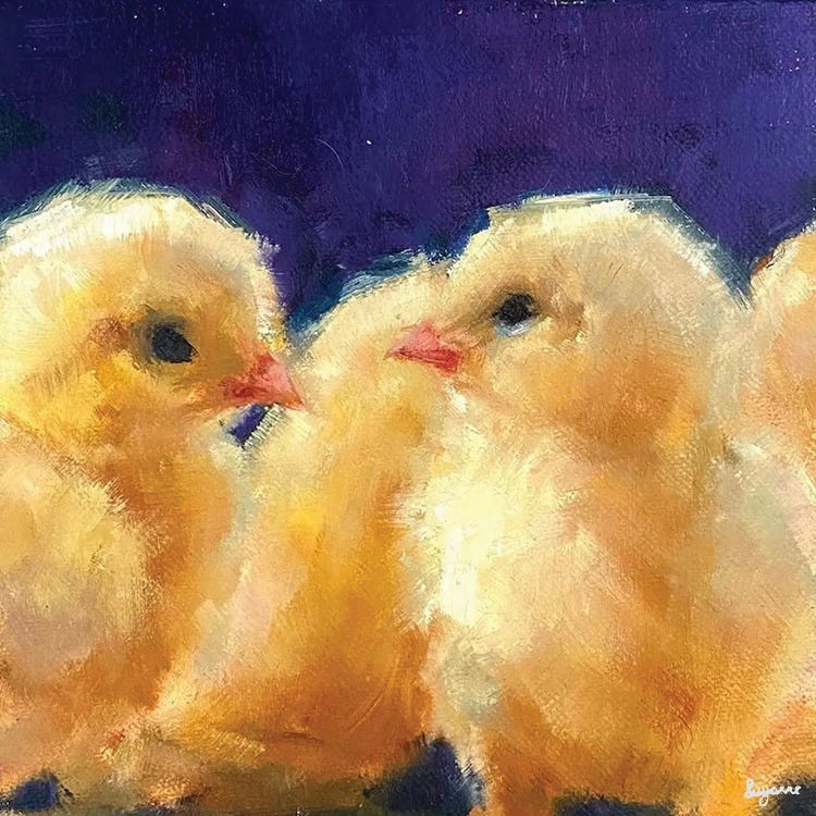 Gossiping Chicks by Suzanne Sheran canvas print