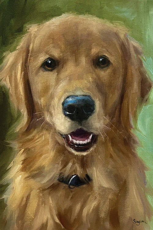 Happy Boy by Suzanne Sheran canvas print