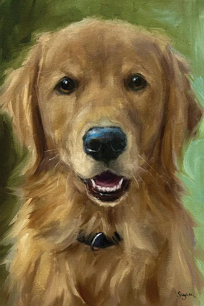 Suzanne Sheran: Happy Boy by Suzanne Sheran