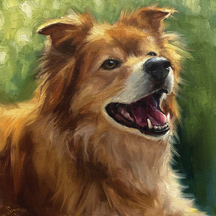 Joyful Boy by Suzanne Sheran canvas print