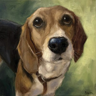 Look Into My Eyes by Suzanne Sheran metal wall art