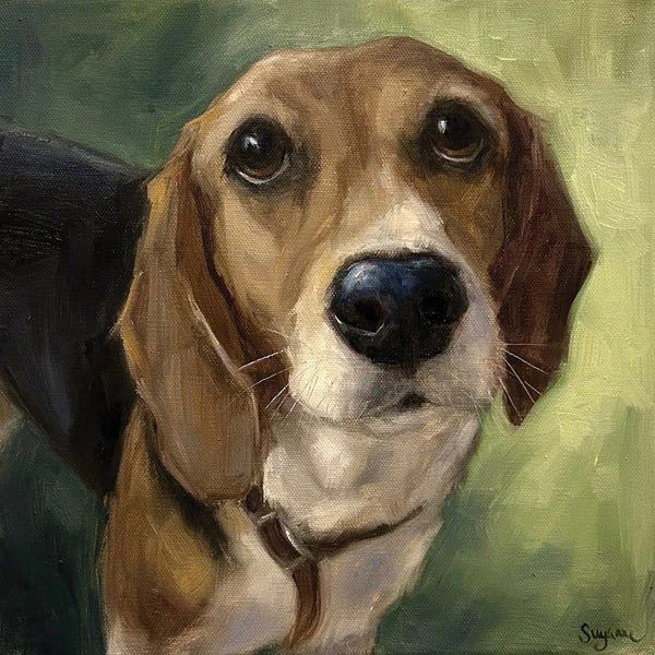 Suzanne Sheran: Look Into My Eyes by Suzanne Sheran