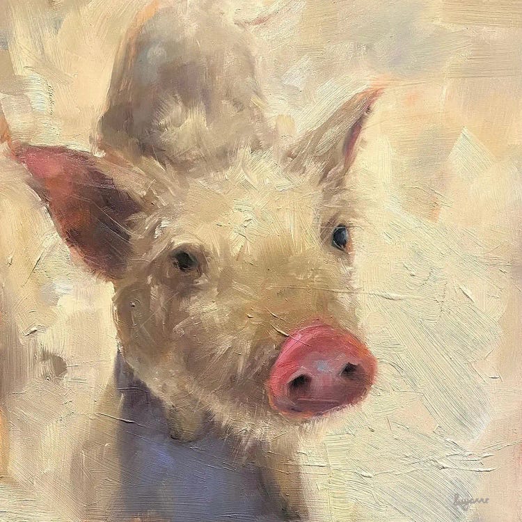 Looking For Attention by Suzanne Sheran canvas print