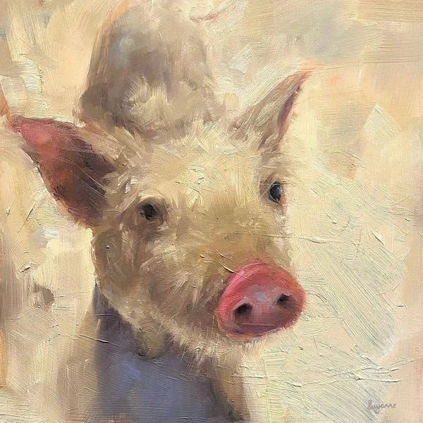 Suzanne Sheran: Looking For Attention by Suzanne Sheran