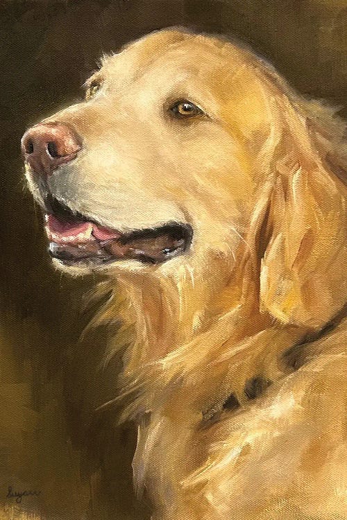 Mr. Handsome by Suzanne Sheran canvas print