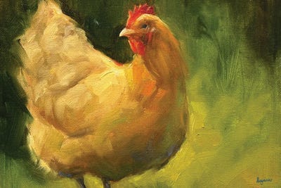 Chickens & Roosters