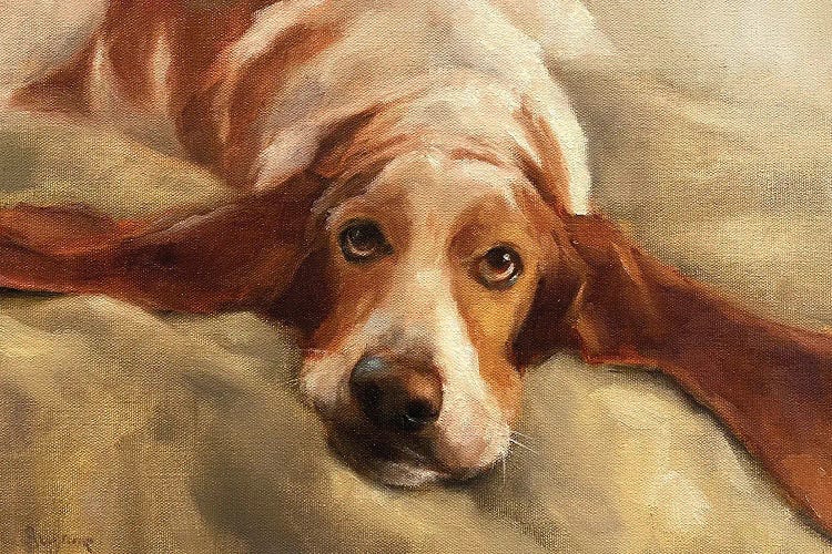 All About Ears by Suzanne Sheran wall art