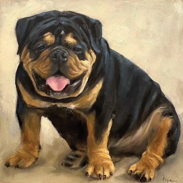 Suzanne Sheran: Roly-Poly by Suzanne Sheran