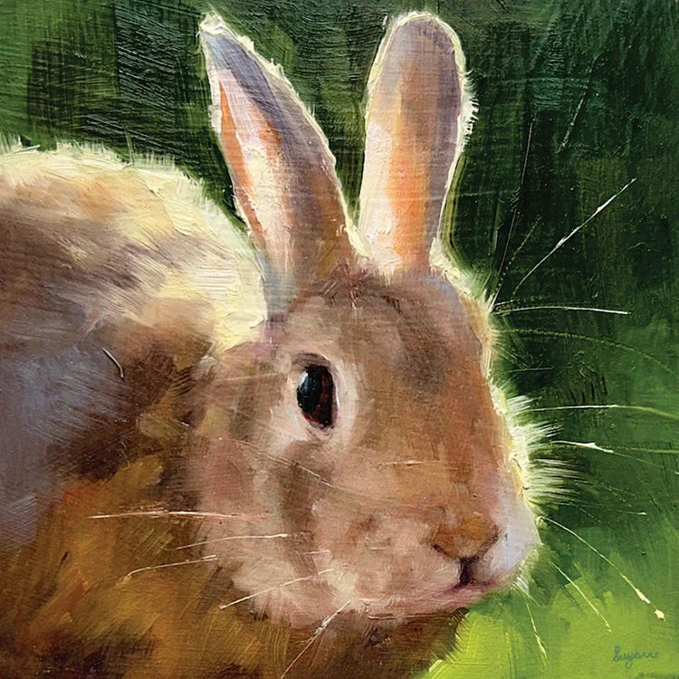 Sunlit Bunny by Suzanne Sheran wall art