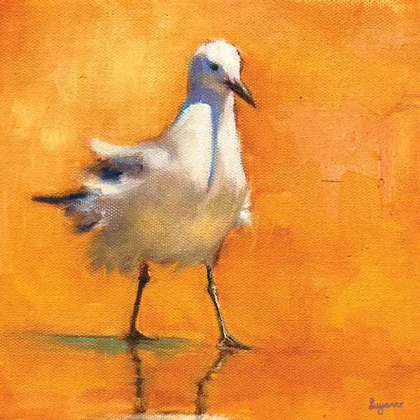 Suzanne Sheran: Sunset Seagull by Suzanne Sheran