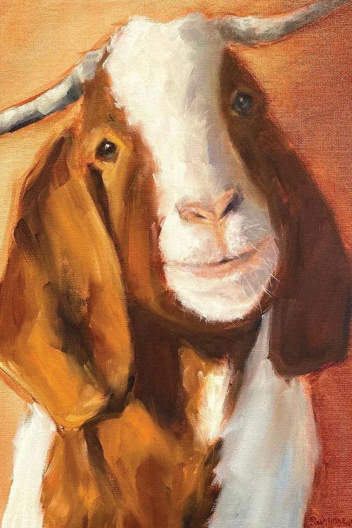 Farm Friend by Suzanne Sheran canvas print