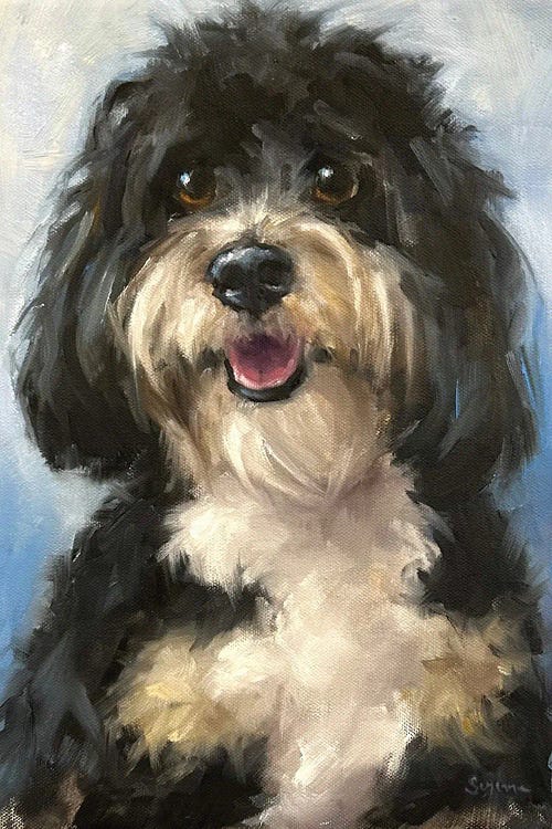 Good Boy by Suzanne Sheran canvas print