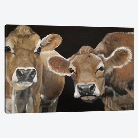 Hello There Cows Canvas Print #SZI2} by Suzi Reman Canvas Art Print