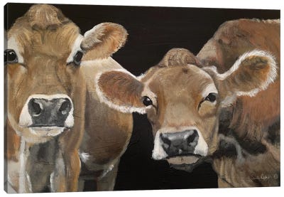 Hello There Cows Canvas Art Print