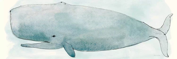 Sea Life V