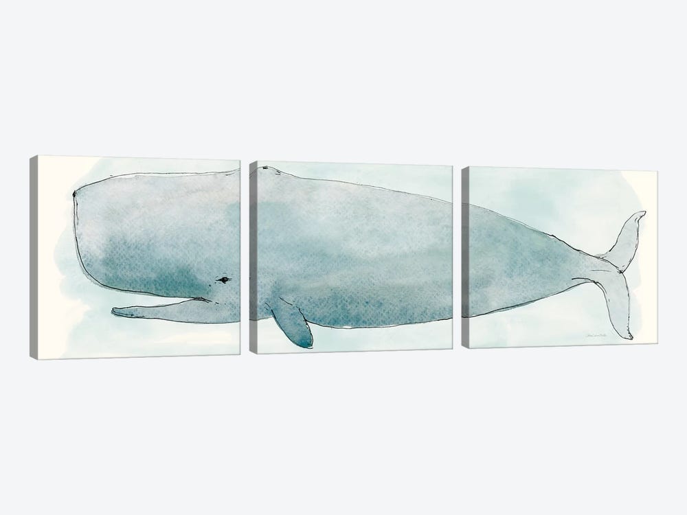 Sea Life V by Sara Zieve Miller 3-piece Canvas Wall Art