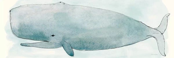 Kids Ocean Life Art: Sea Life V by Sara Zieve Miller