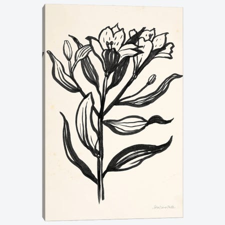 Ink Flower I On Cream Canvas Print #SZM29} by Sara Zieve Miller Canvas Print