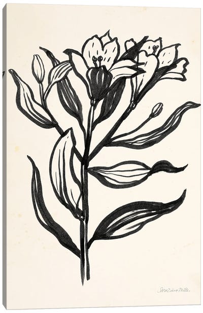 Ink Flower I On Cream Canvas Art Print