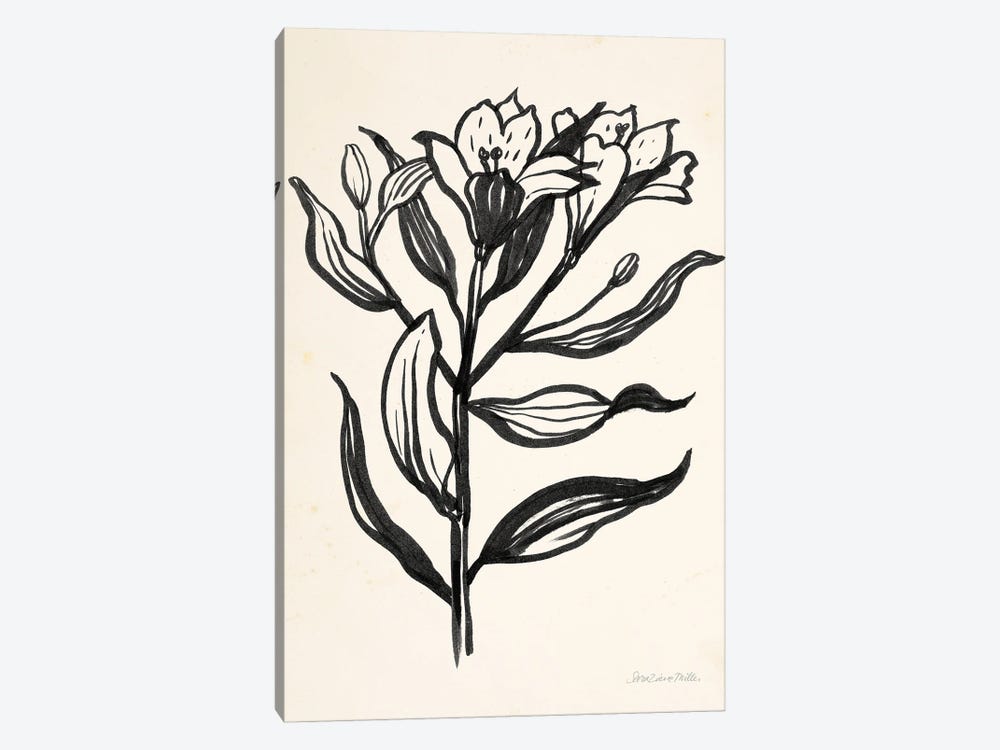 Ink Flower I On Cream by Sara Zieve Miller 1-piece Canvas Art Print