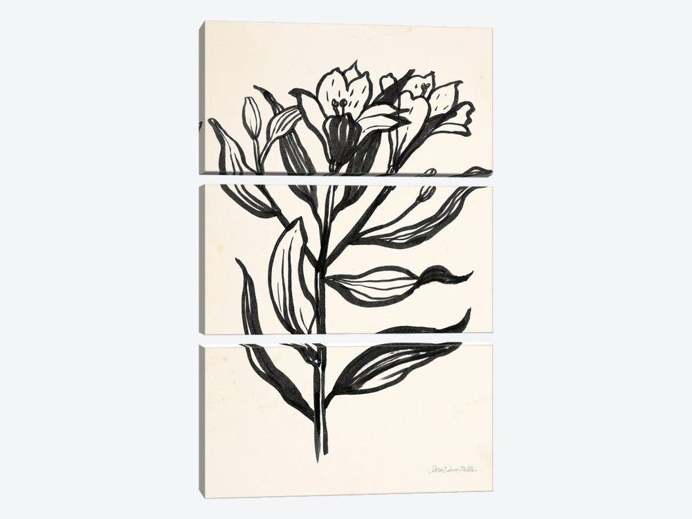 Ink Flower I On Cream by Sara Zieve Miller 3-piece Art Print