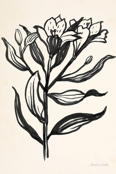 Sara Zieve Miller: Ink Flower I On Cream by Sara Zieve Miller