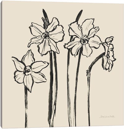 Ink Sketch Daffodils Canvas Art Print - Minimalist Flowers