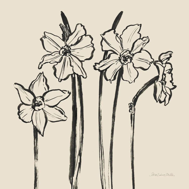 Ink Sketch Daffodils